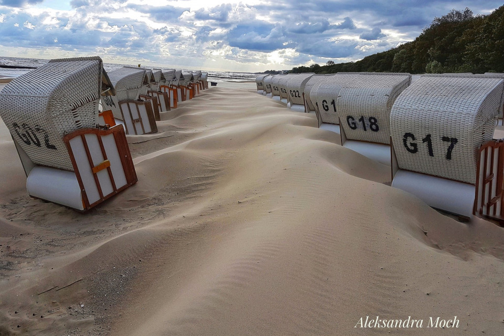 Nagrodzone fotografie słuchaczy uniwersytetów trzeciego wieku