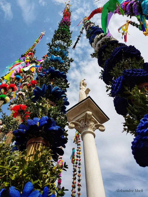 Nagrodzone fotografie słuchaczy uniwersytetów trzeciego wieku