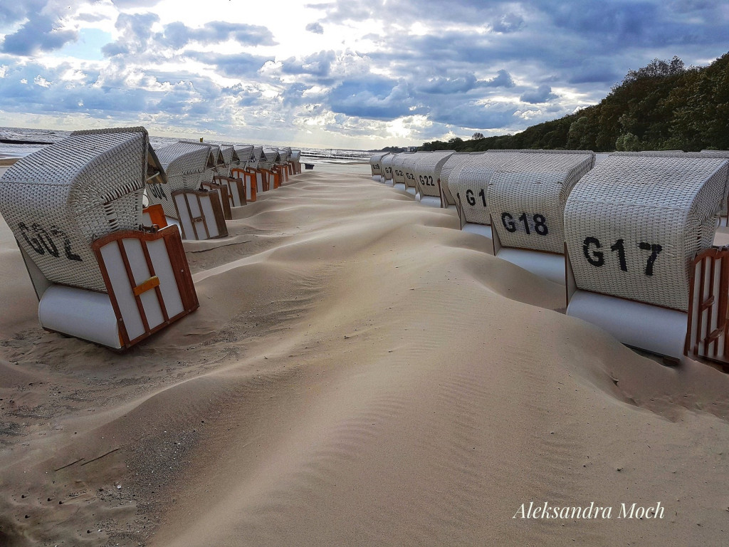 Nagrodzone fotografie słuchaczy uniwersytetów trzeciego wieku