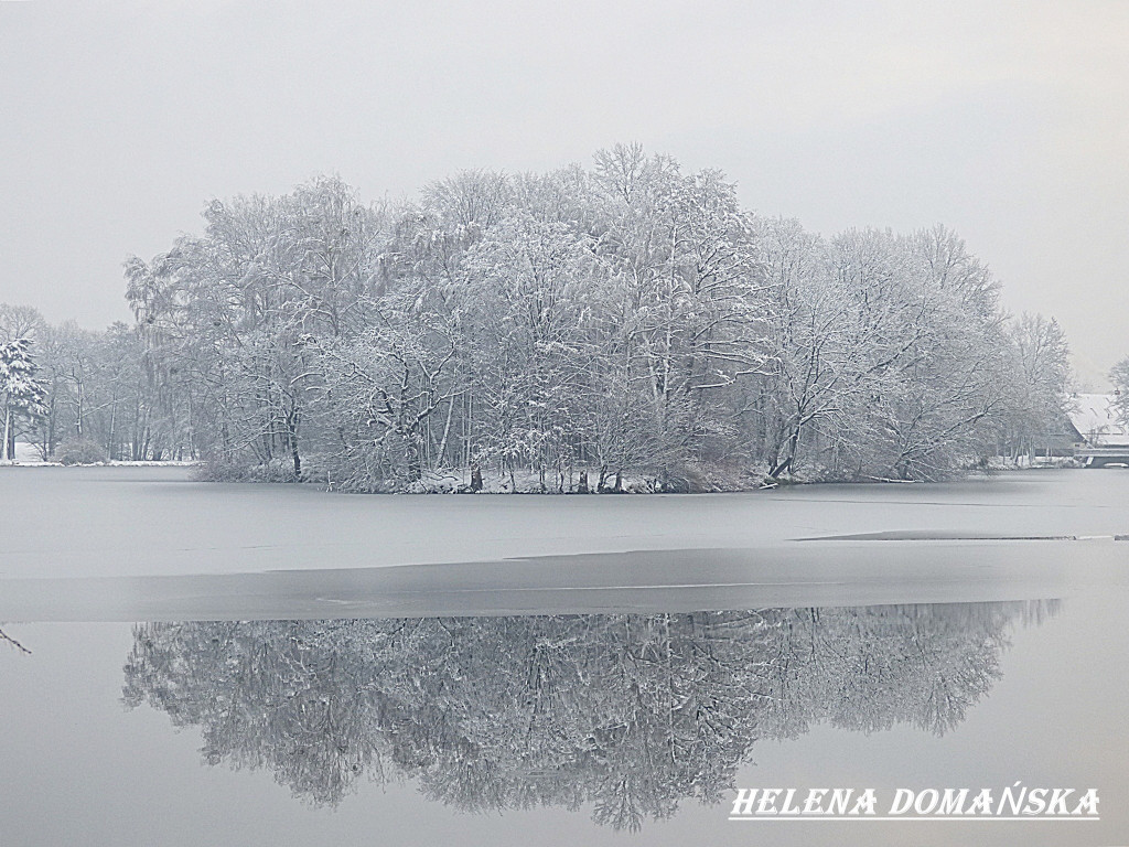 Nagrodzone fotografie słuchaczy uniwersytetów trzeciego wieku