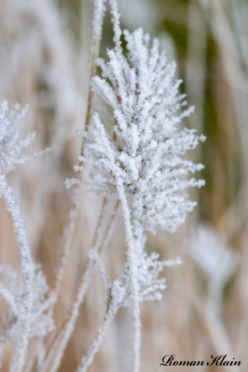 Nagrodzone fotografie słuchaczy uniwersytetów trzeciego wieku