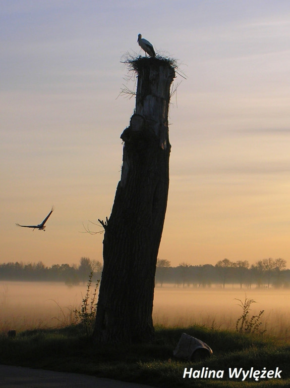Nagrodzone fotografie słuchaczy uniwersytetów trzeciego wieku