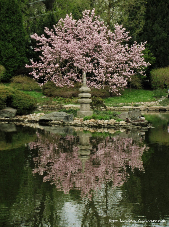 Nagrodzone fotografie słuchaczy uniwersytetów trzeciego wieku