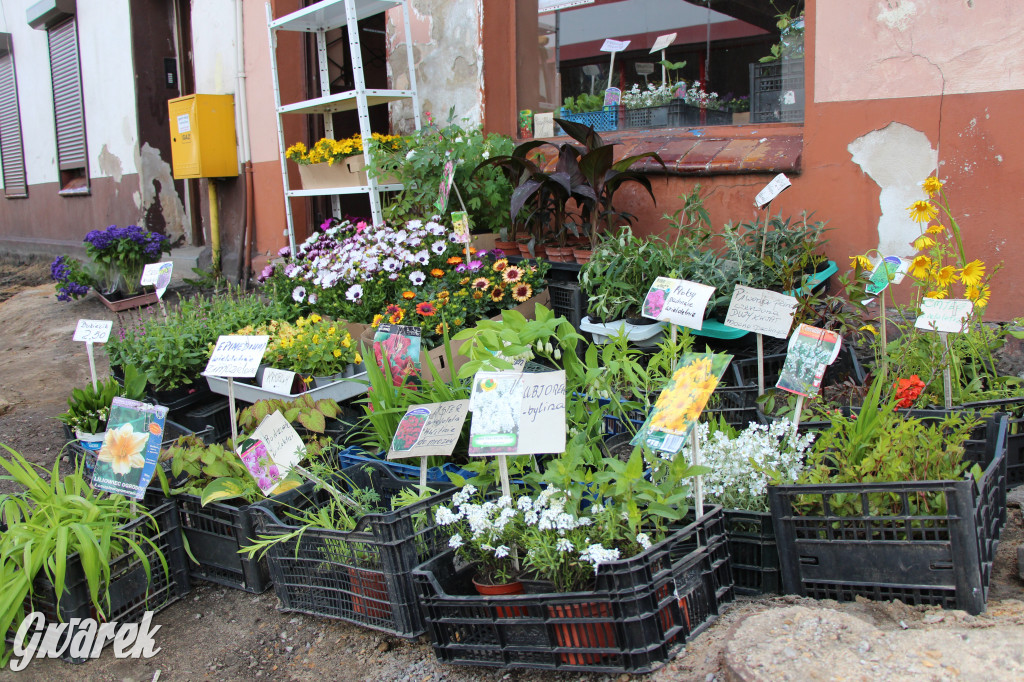 Handlowcy z ul. Szymały odcięci od klientów