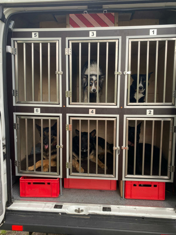 Nasi druhowie szukali 11-latka