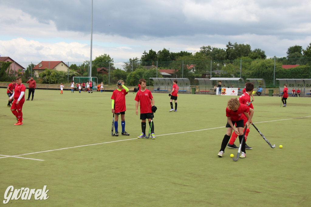 Hokejowy piknik na osiedlu Przyjaźń. Działo się sporo