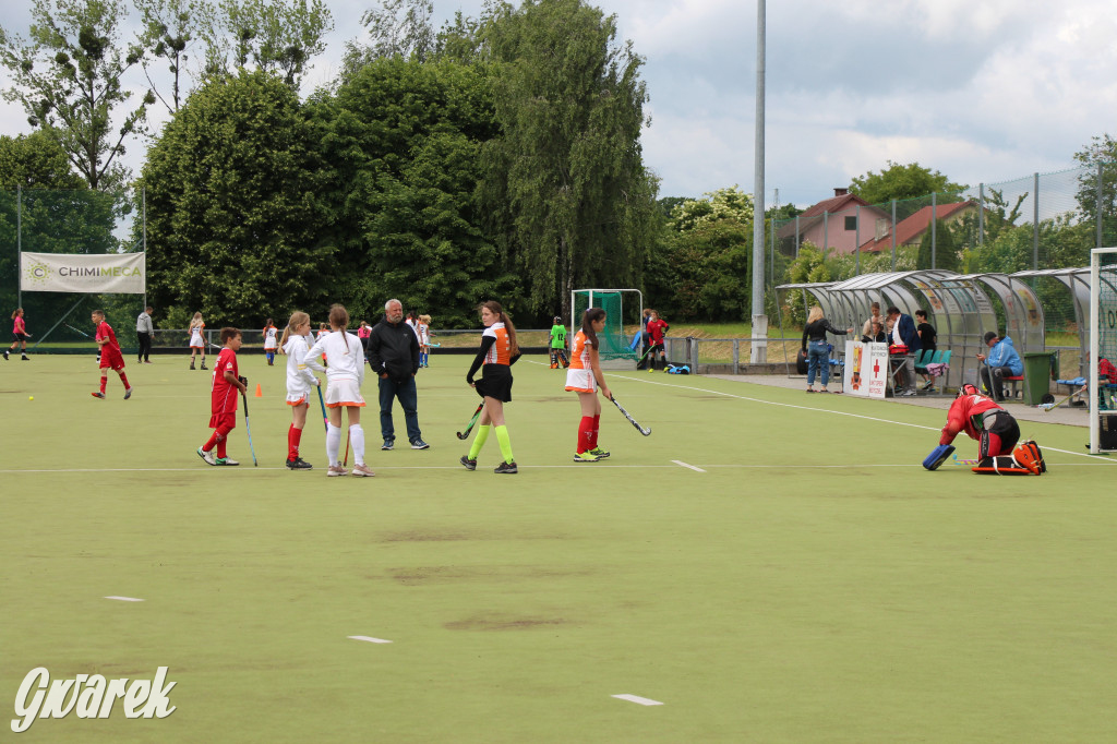 Hokejowy piknik na osiedlu Przyjaźń. Działo się sporo