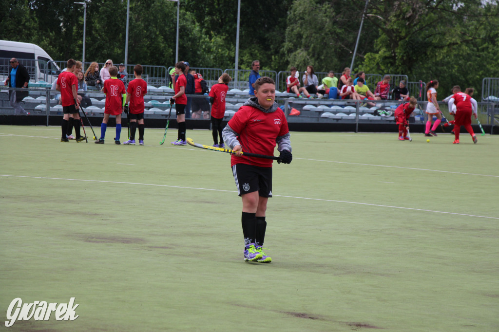 Hokejowy piknik na osiedlu Przyjaźń. Działo się sporo