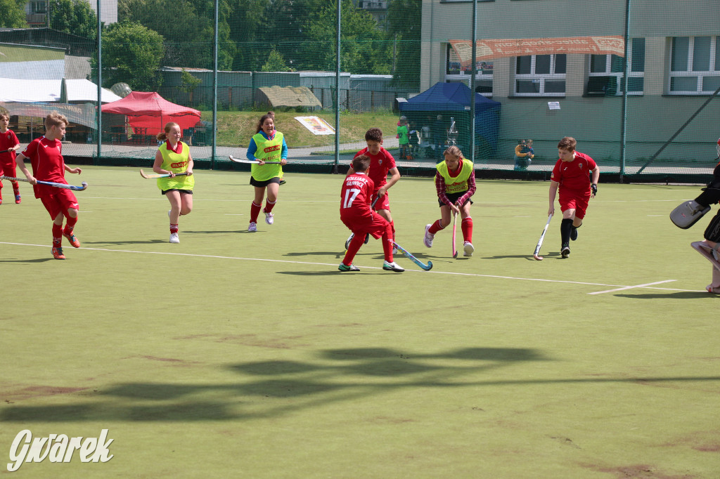 Hokejowy piknik na osiedlu Przyjaźń. Działo się sporo