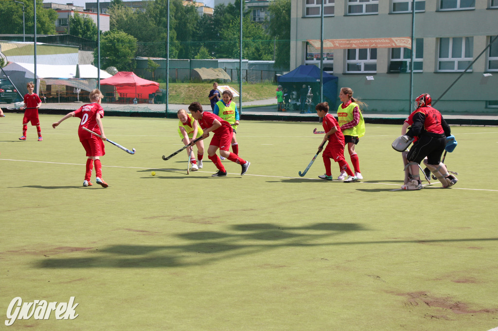 Hokejowy piknik na osiedlu Przyjaźń. Działo się sporo