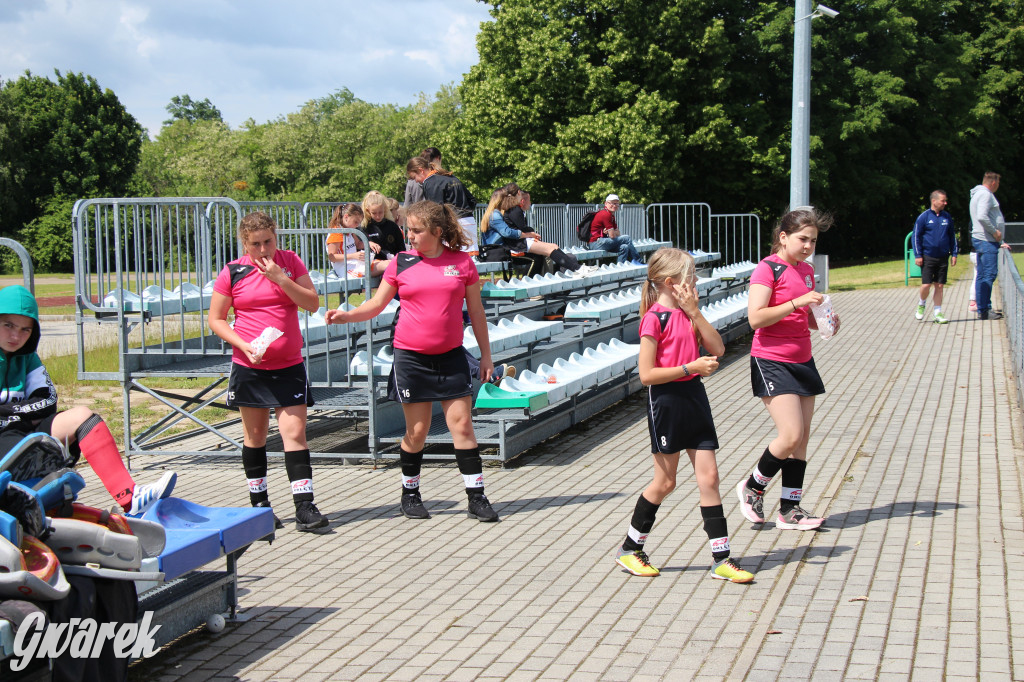 Hokejowy piknik na osiedlu Przyjaźń. Działo się sporo