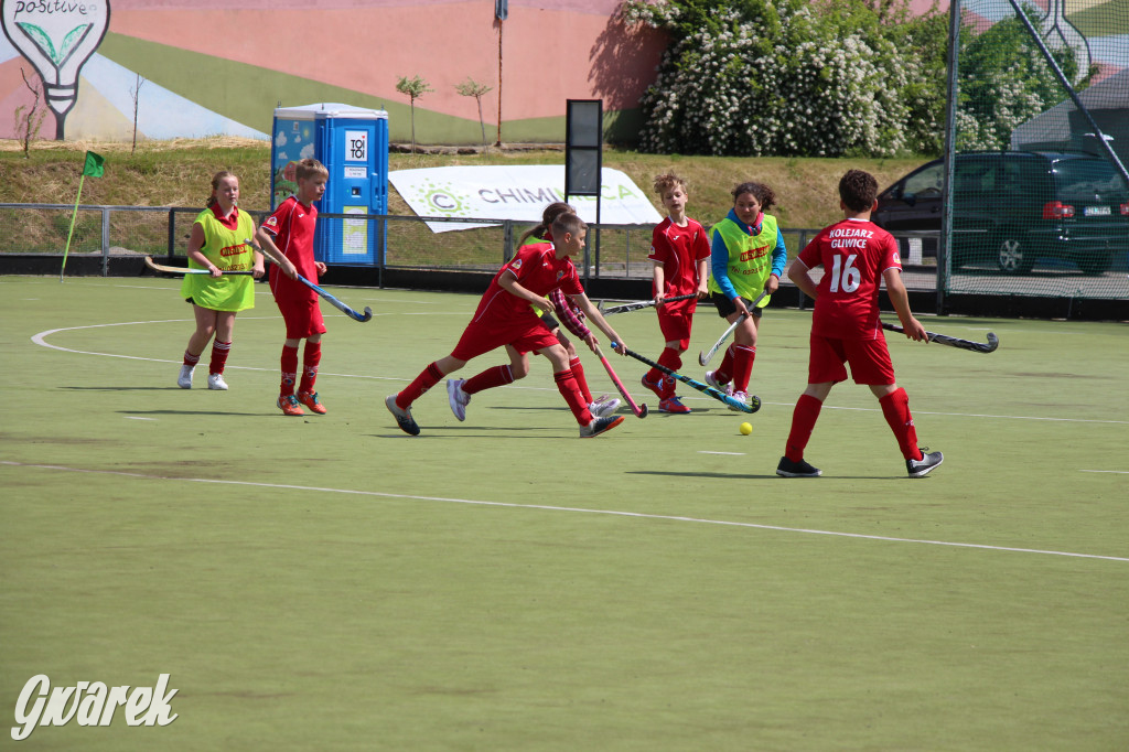 Hokejowy piknik na osiedlu Przyjaźń. Działo się sporo