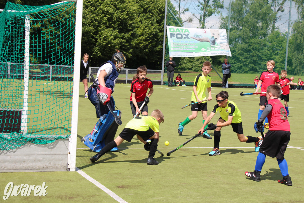 Hokejowy piknik na osiedlu Przyjaźń. Działo się sporo