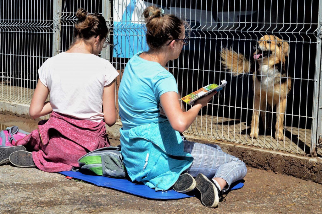 Wyjątkowa akcja w schronisku: dzieci czytały psom