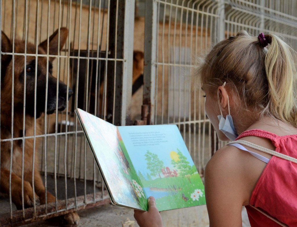 Wyjątkowa akcja w schronisku: dzieci czytały psom
