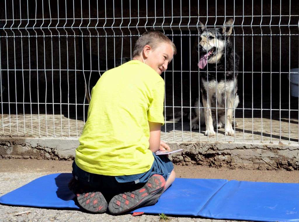Wyjątkowa akcja w schronisku: dzieci czytały psom