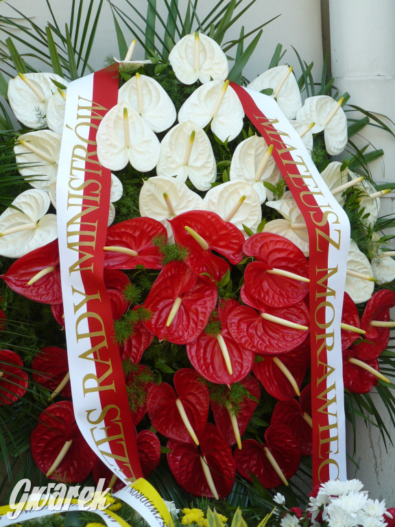 Odsłonięcie tablicy poświęconej dowódcy pułku