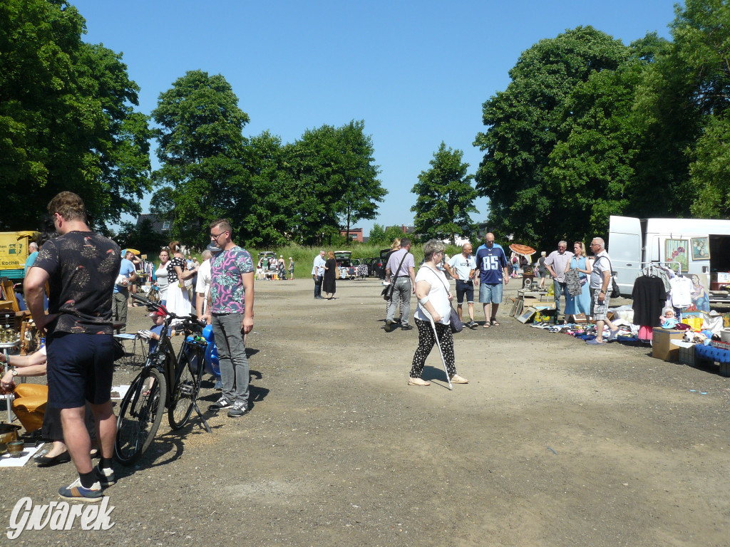 Pchli targ w Tarnowskich Górach