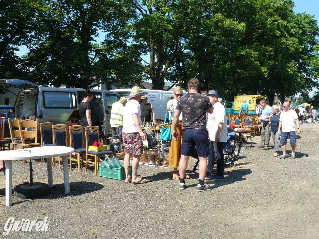 Pchli targ w Tarnowskich Górach