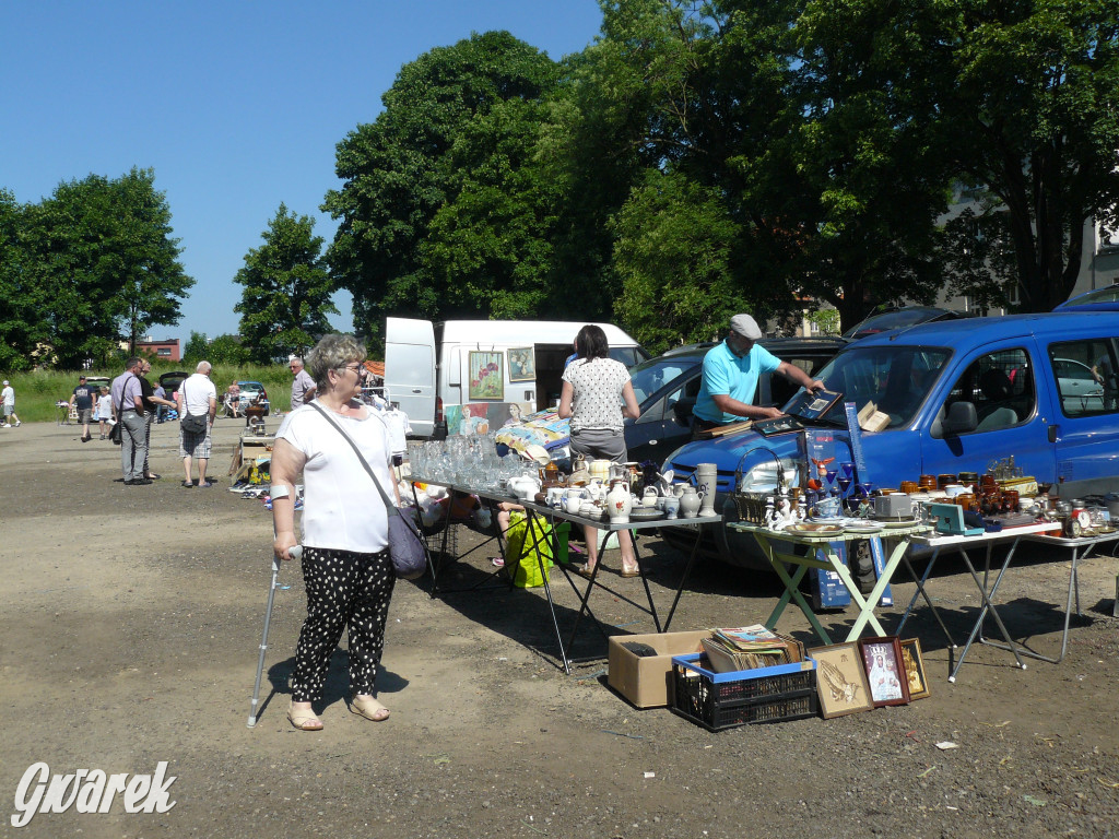 Pchli targ w Tarnowskich Górach