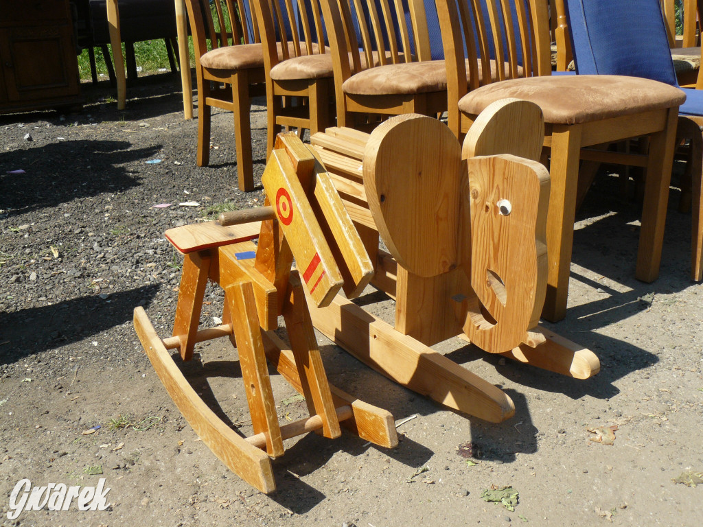 Pchli targ w Tarnowskich Górach