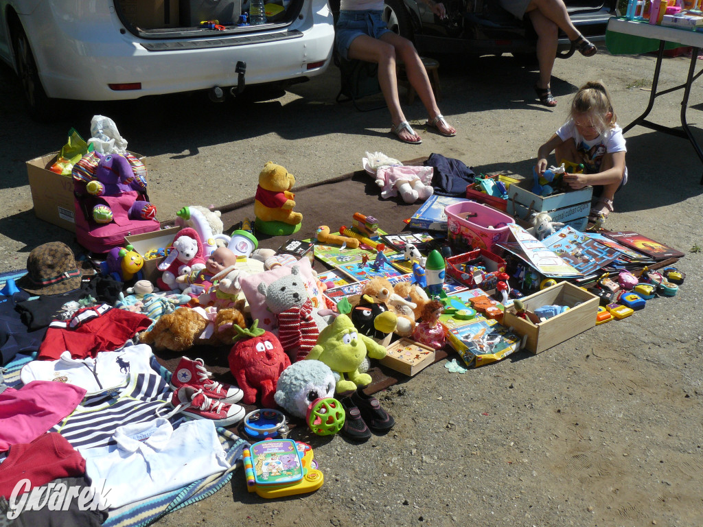 Pchli targ w Tarnowskich Górach