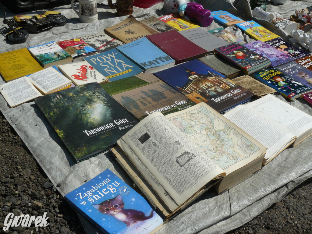 Pchli targ w Tarnowskich Górach