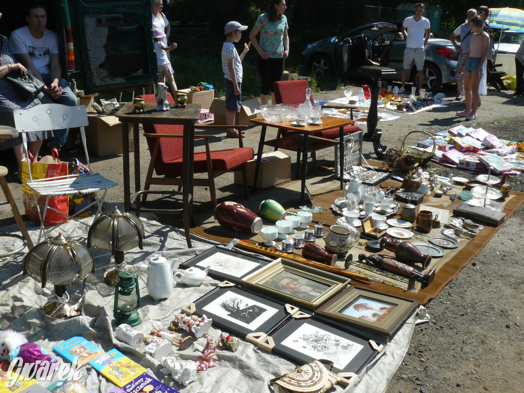 Pchli targ w Tarnowskich Górach