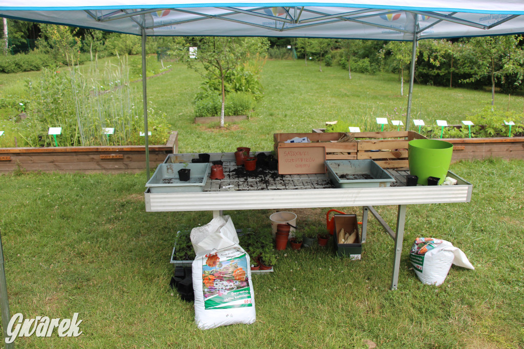 Śląski Ogród Botaniczny w Radzionkowie ma swój quest