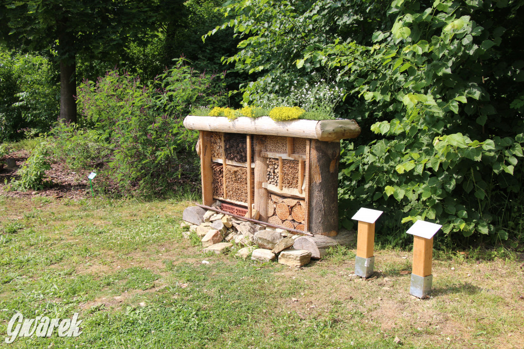 Śląski Ogród Botaniczny w Radzionkowie ma swój quest