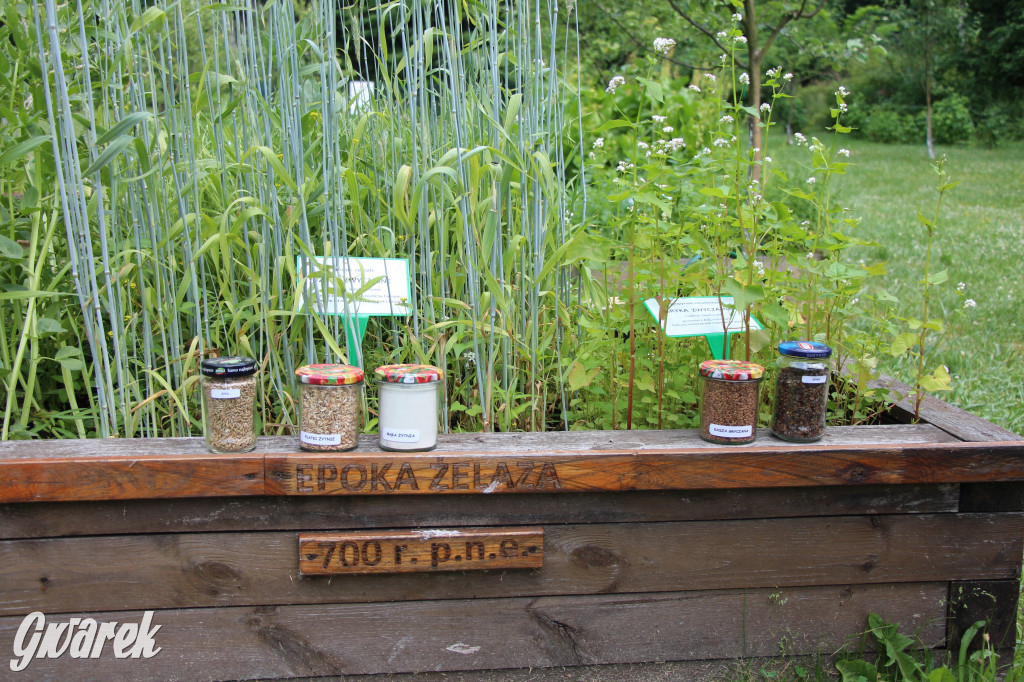 Śląski Ogród Botaniczny w Radzionkowie ma swój quest