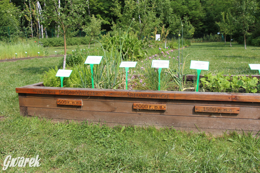 Śląski Ogród Botaniczny w Radzionkowie ma swój quest
