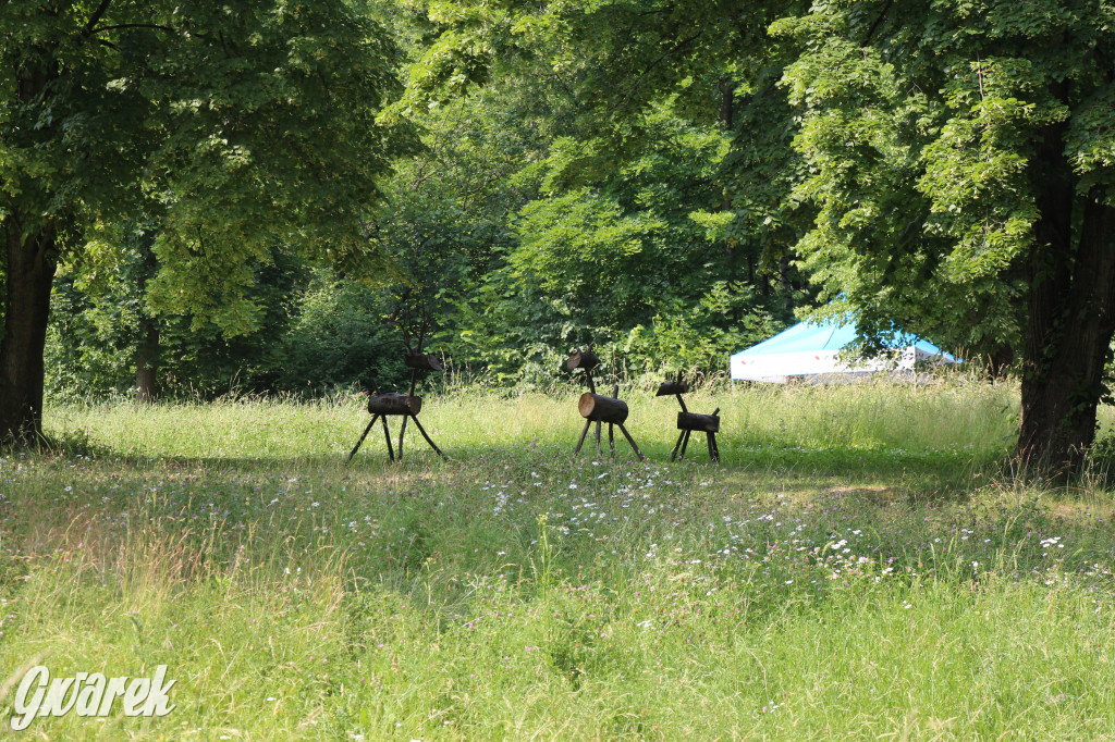 Śląski Ogród Botaniczny w Radzionkowie ma swój quest