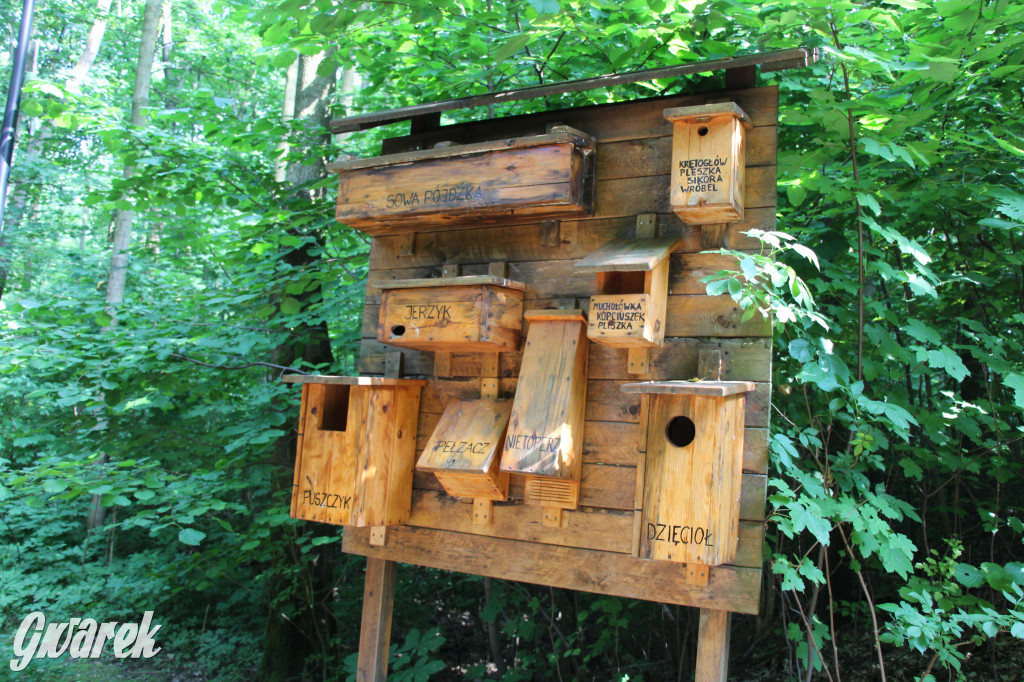 Śląski Ogród Botaniczny w Radzionkowie ma swój quest