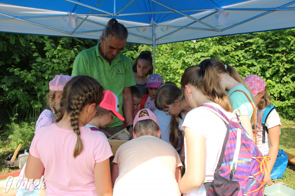 Śląski Ogród Botaniczny w Radzionkowie ma swój quest