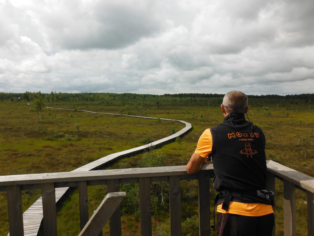 Wakacje na rowerze: sakwy, survival i wolność