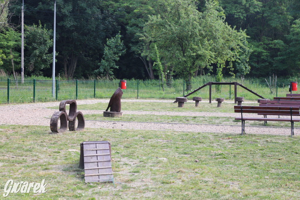 Planty w Radzionkowie. Aktywny czas dla dzieci i dorosłych