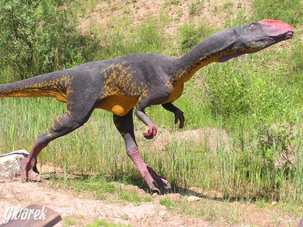 Nasz plebiscyt. Nagroda to bilety do Krasiejowa