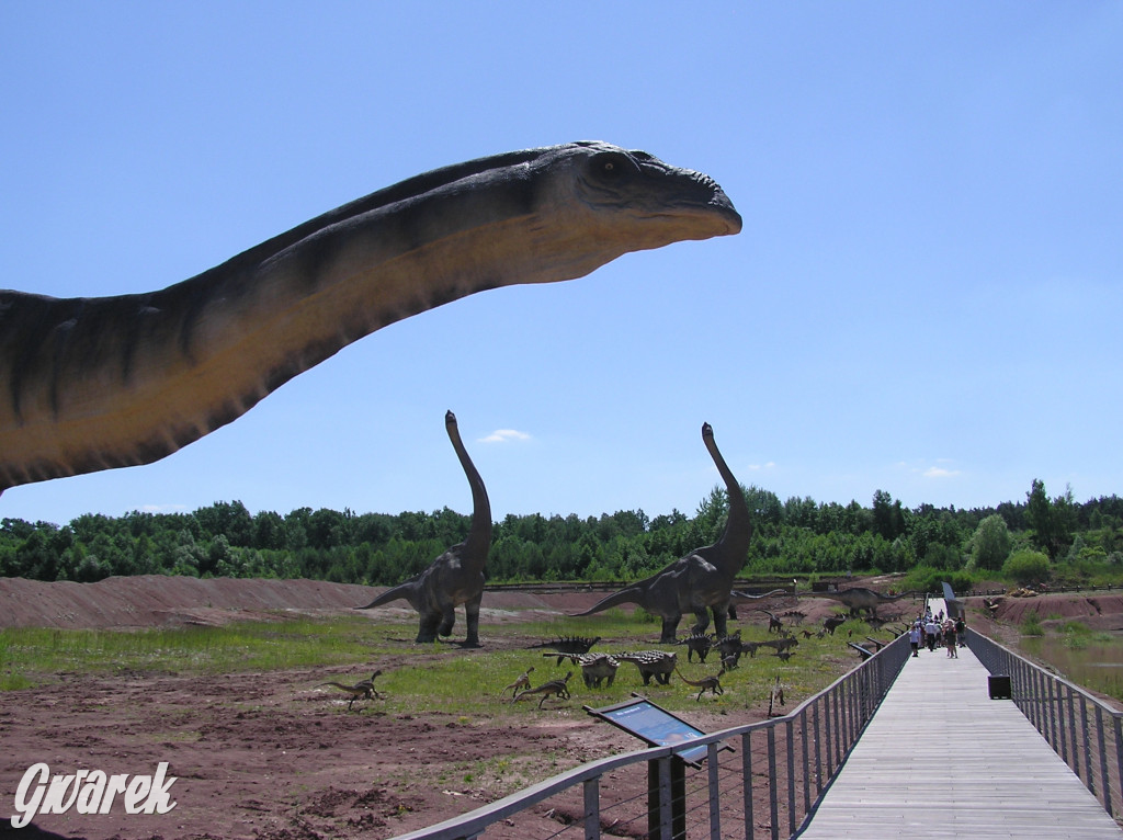 Nasz plebiscyt. Nagroda to bilety do Krasiejowa