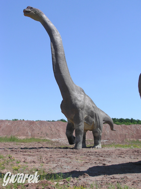 Nasz plebiscyt. Nagroda to bilety do Krasiejowa