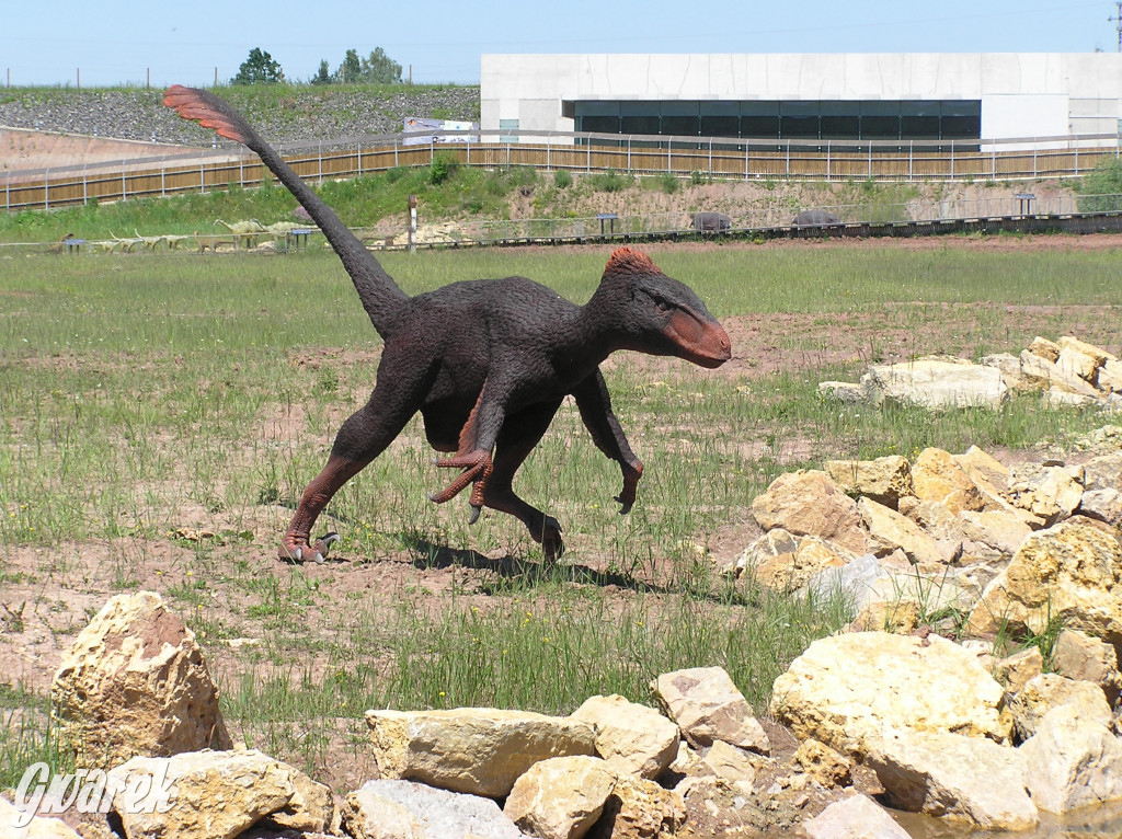 Nasz plebiscyt. Nagroda to bilety do Krasiejowa