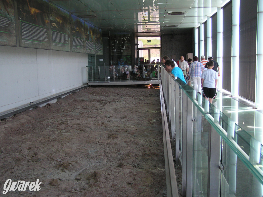 Nasz plebiscyt. Nagroda to bilety do Krasiejowa