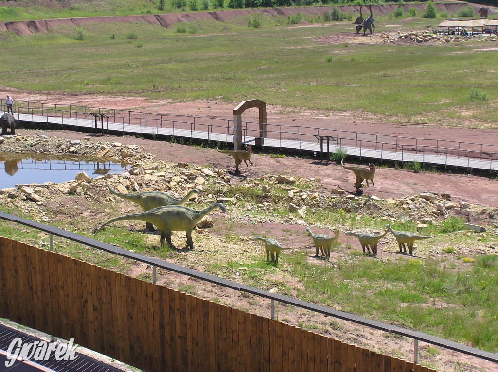 Nasz plebiscyt. Nagroda to bilety do Krasiejowa