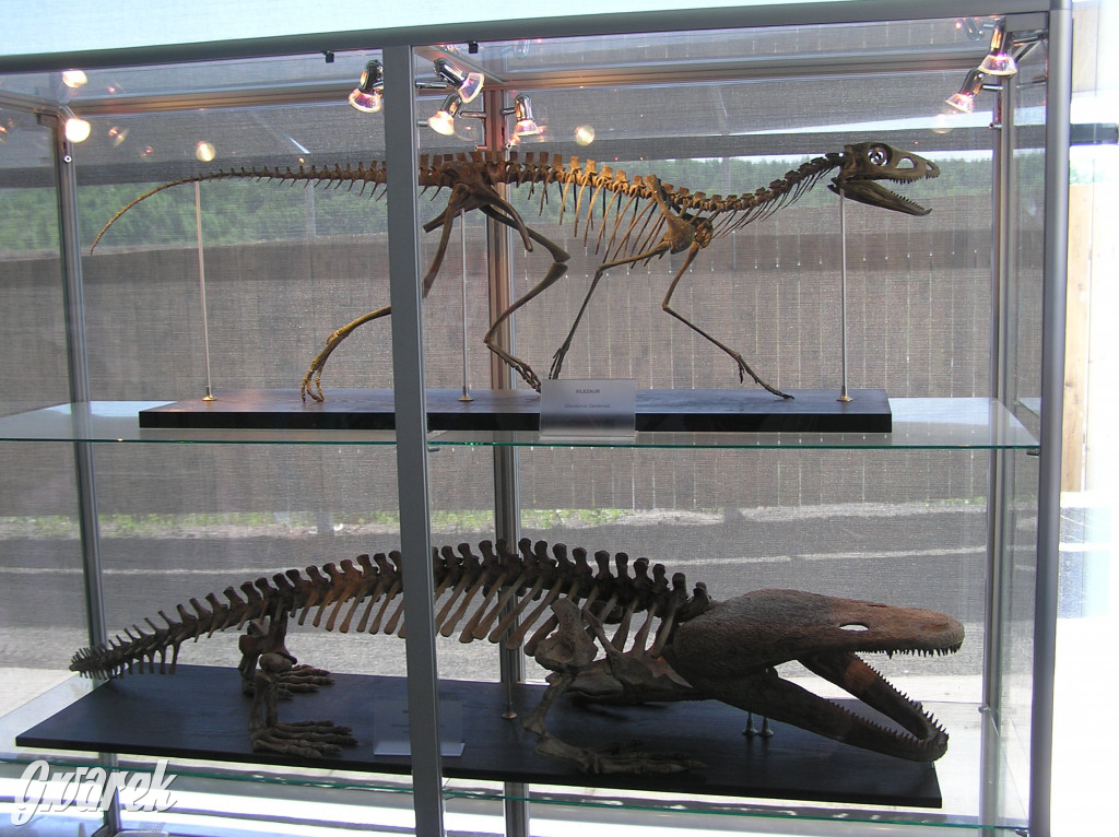 Nasz plebiscyt. Nagroda to bilety do Krasiejowa