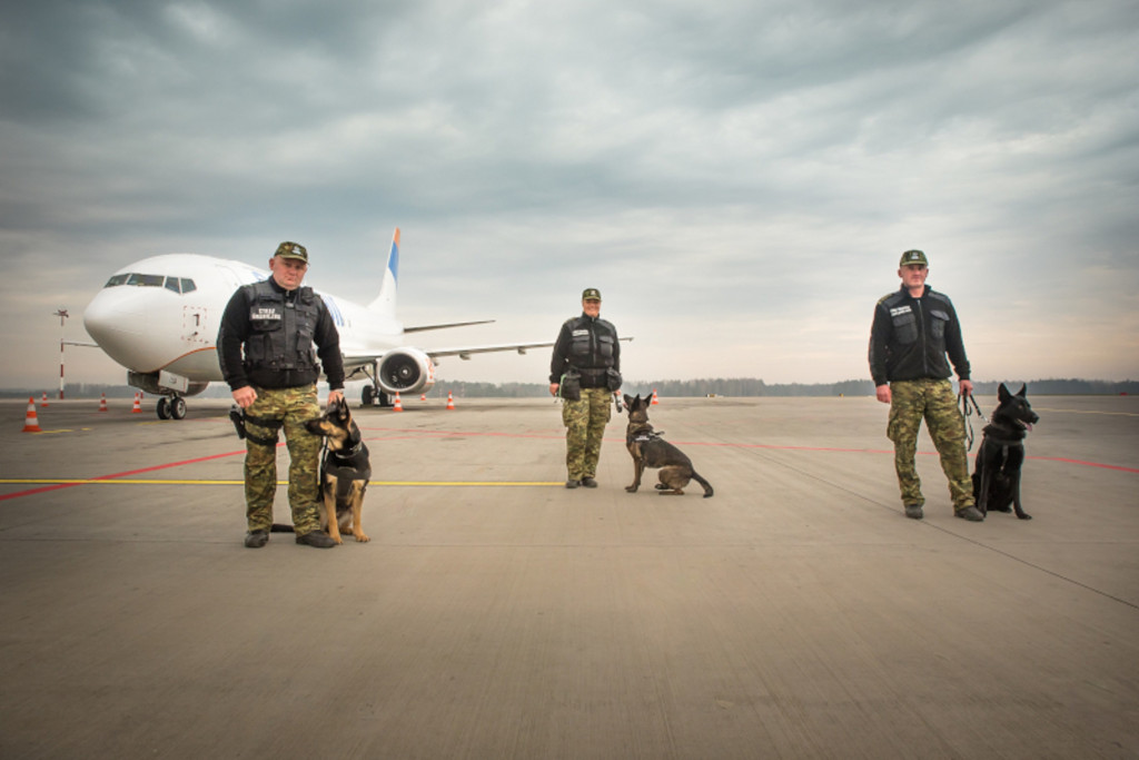 Dzień Psa. Poznajcie psy specjalne z lotniska w Pyrzowicach