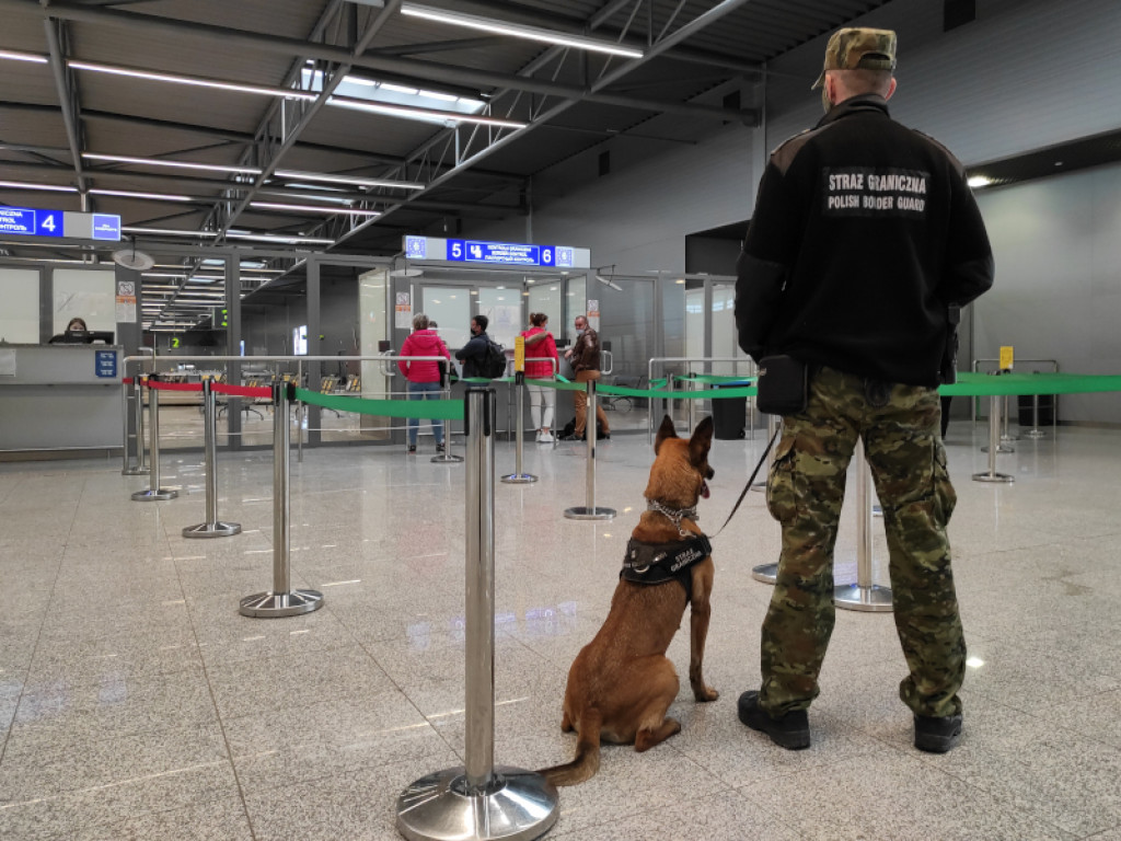 Dzień Psa. Poznajcie psy specjalne z lotniska w Pyrzowicach