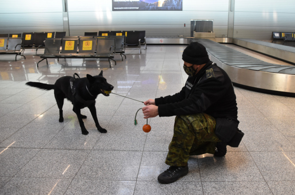 Dzień Psa. Poznajcie psy specjalne z lotniska w Pyrzowicach