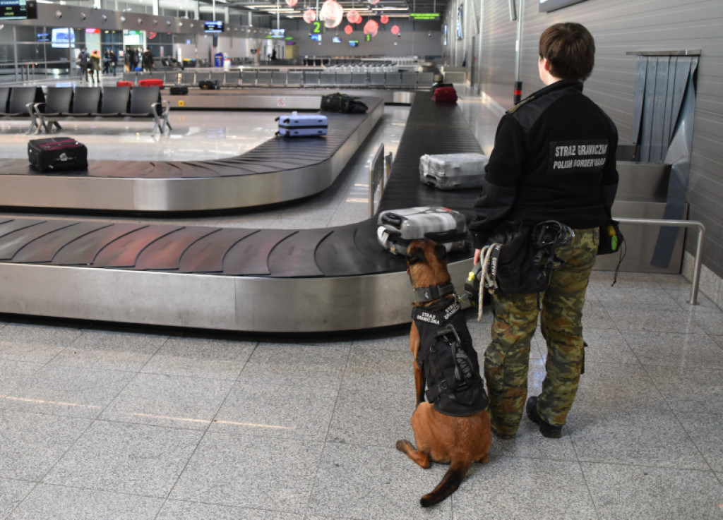 Dzień Psa. Poznajcie psy specjalne z lotniska w Pyrzowicach