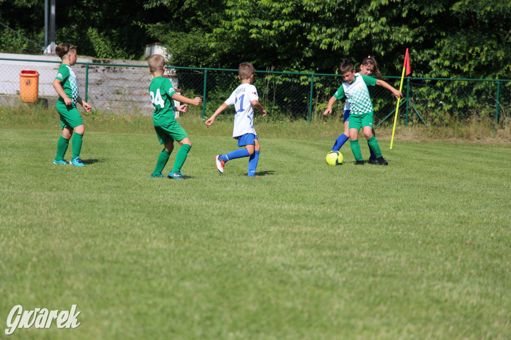 Eksplozja talentów w Krupskim Młynie