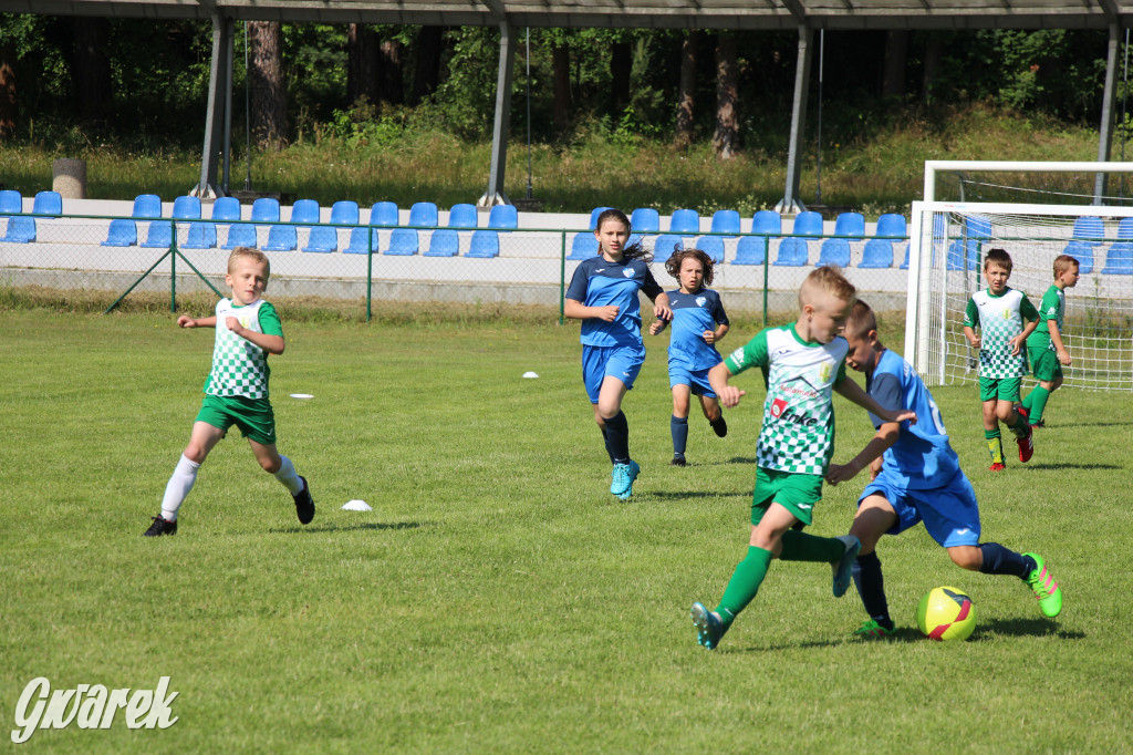 Eksplozja talentów w Krupskim Młynie